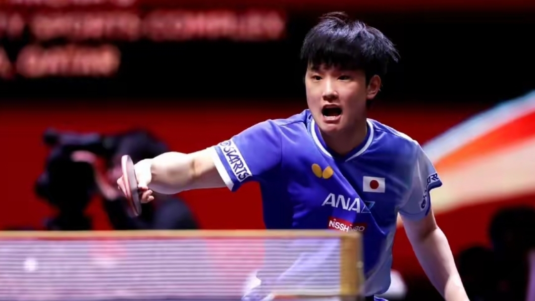 奥地利队鏖战日本队，张本智和高光表现