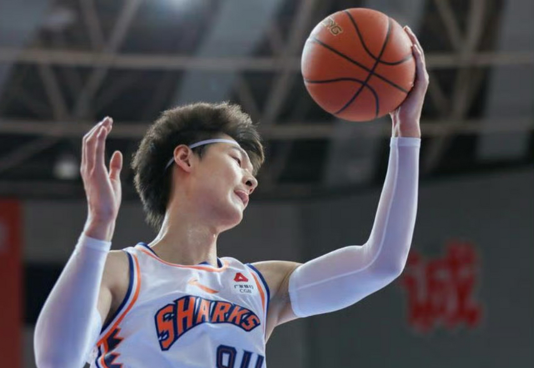 浙江队横扫辽宁队，王哲林高光表现