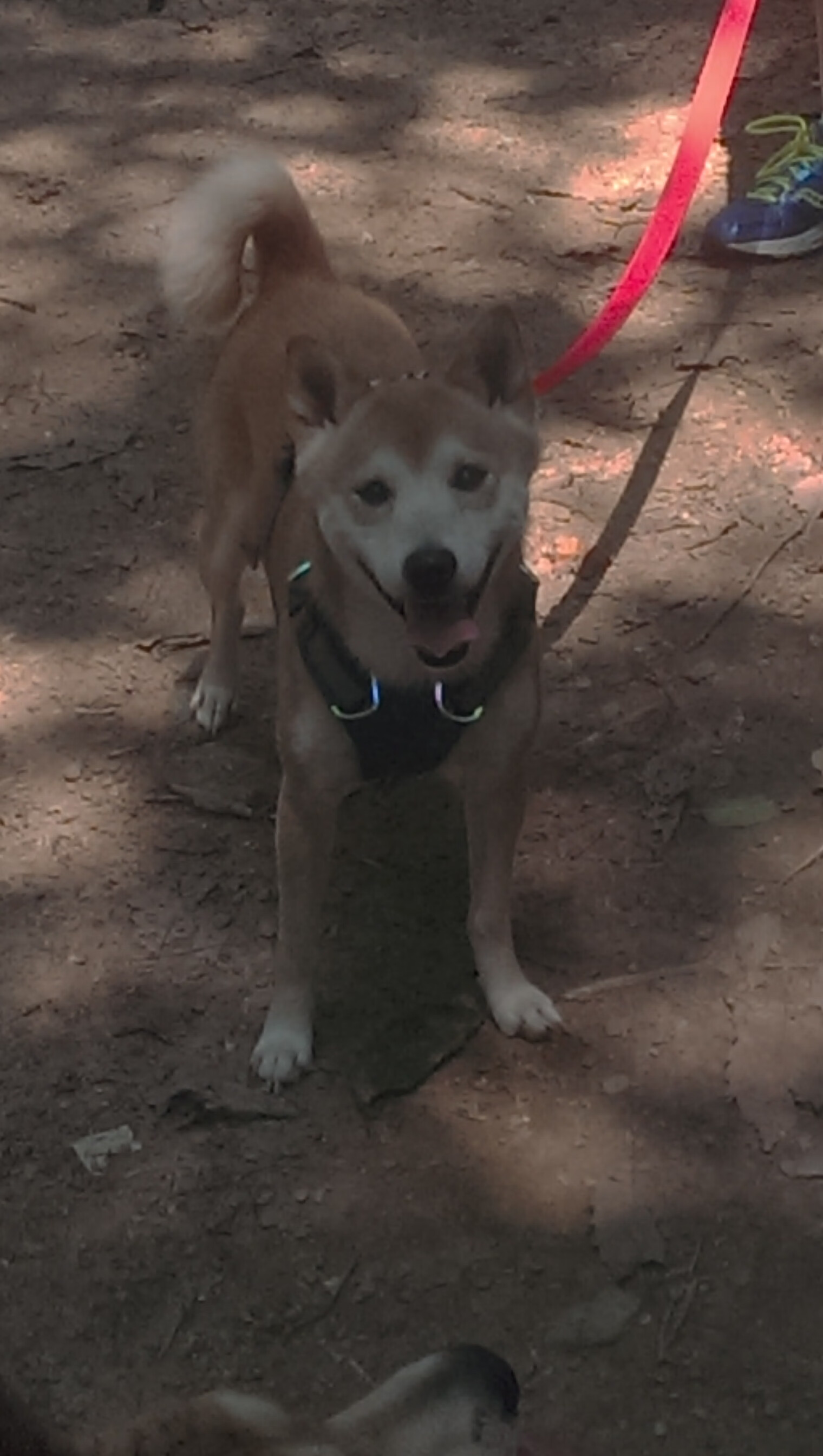 摩洛哥险胜巴萨，当金色足球地图上，悄然裂开一道光