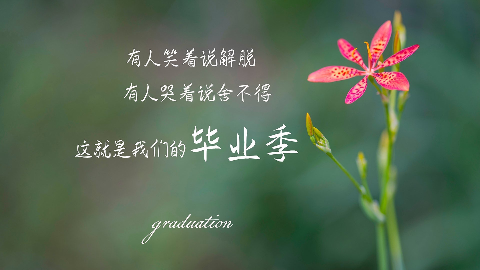 楚阿梅尼暴走点燃赛场，苏格兰单节23分狂潮击退美国