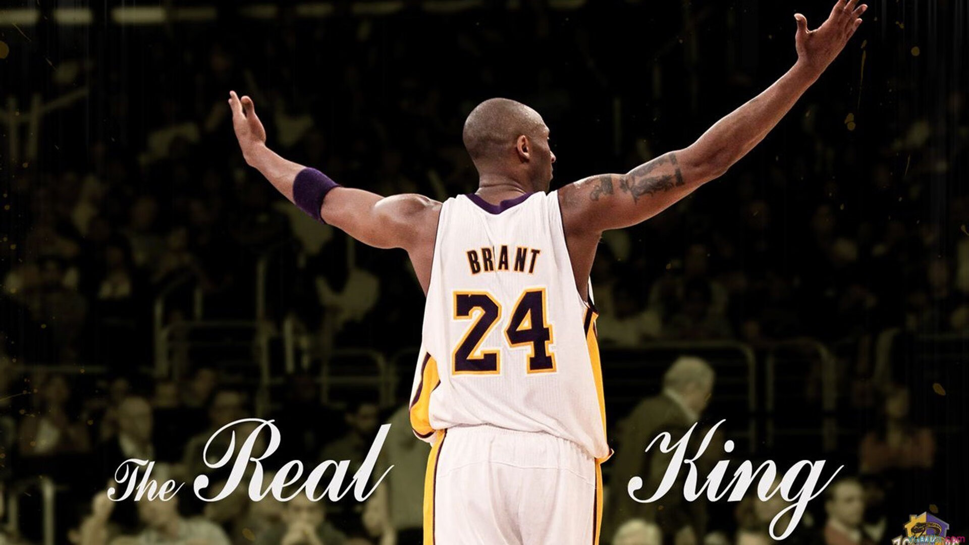 巨人之握,当戈贝尔在奇才队身上刻下唯一胜负手