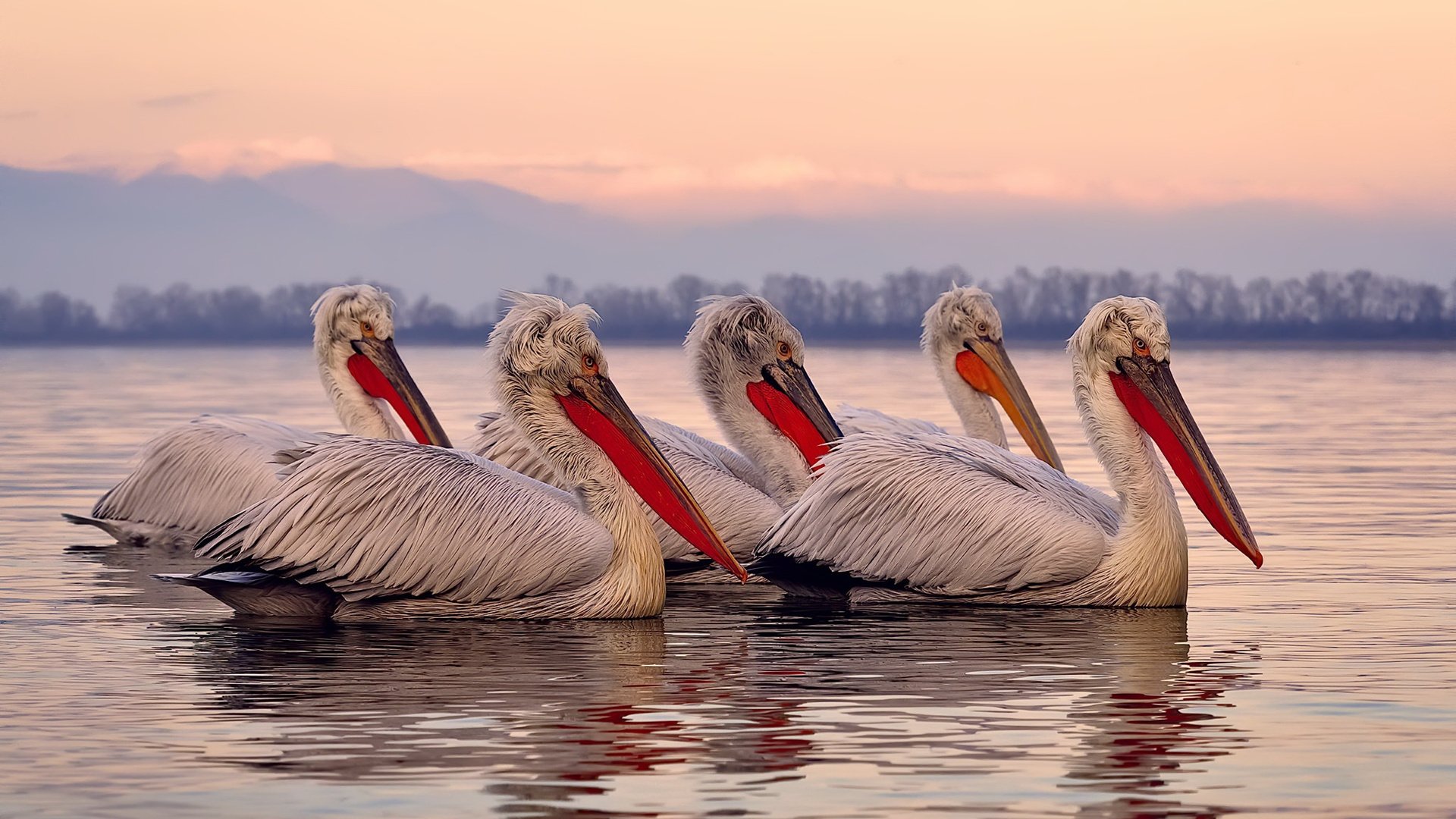 卡马文加的爆发与德国的绝杀,足球战术与心理的胜利