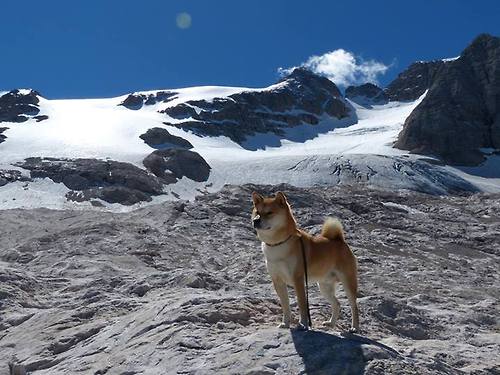 撕裂与交响,德布劳内的爆发与埃及足球的意象横扫