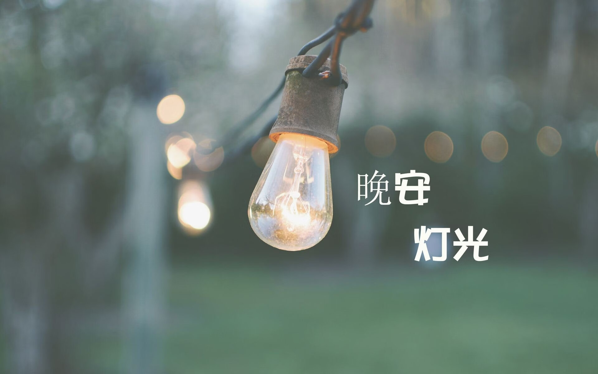 奇迹之夜，2026世界杯A组强强对话，印度逆转罗马尼亚，库尔图瓦孤掌难鸣