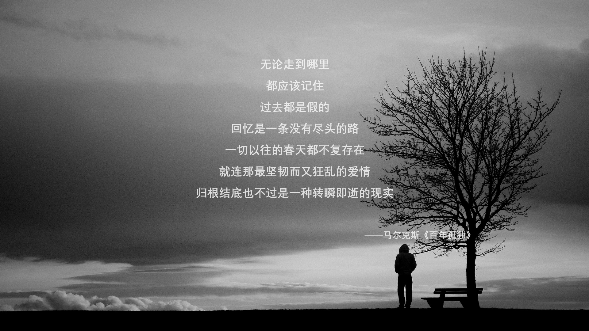沙暴中的闪电，2026世界杯H组，阿方索·戴维斯如何用速度撕裂伊朗，为斯洛伐克写下唯一剧本