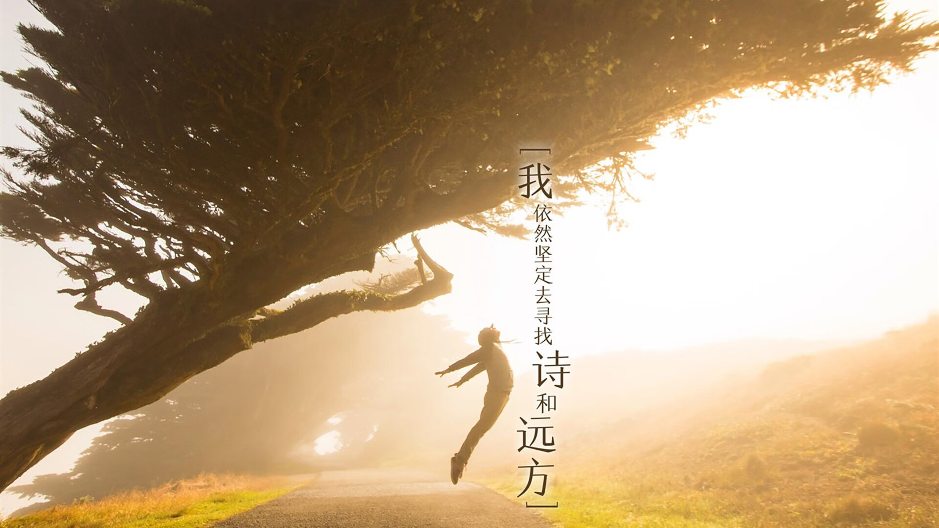 这是一个非常有趣且富有想象力的设定。2026年世界杯扩军至48支球队，印度首次杀入世界杯正赛本身就极具话题性。而梅西发挥关键作用这个设定，将球王的影响力跨越了国籍与时代，更是点睛之笔