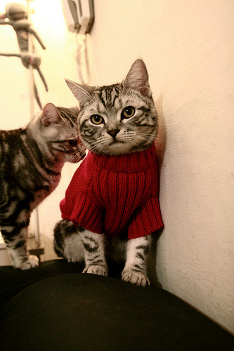 唯一之战,2026世界杯黑马颠覆之夜,托纳利一剑封喉,德国绝杀伊拉克演绎进攻狂潮