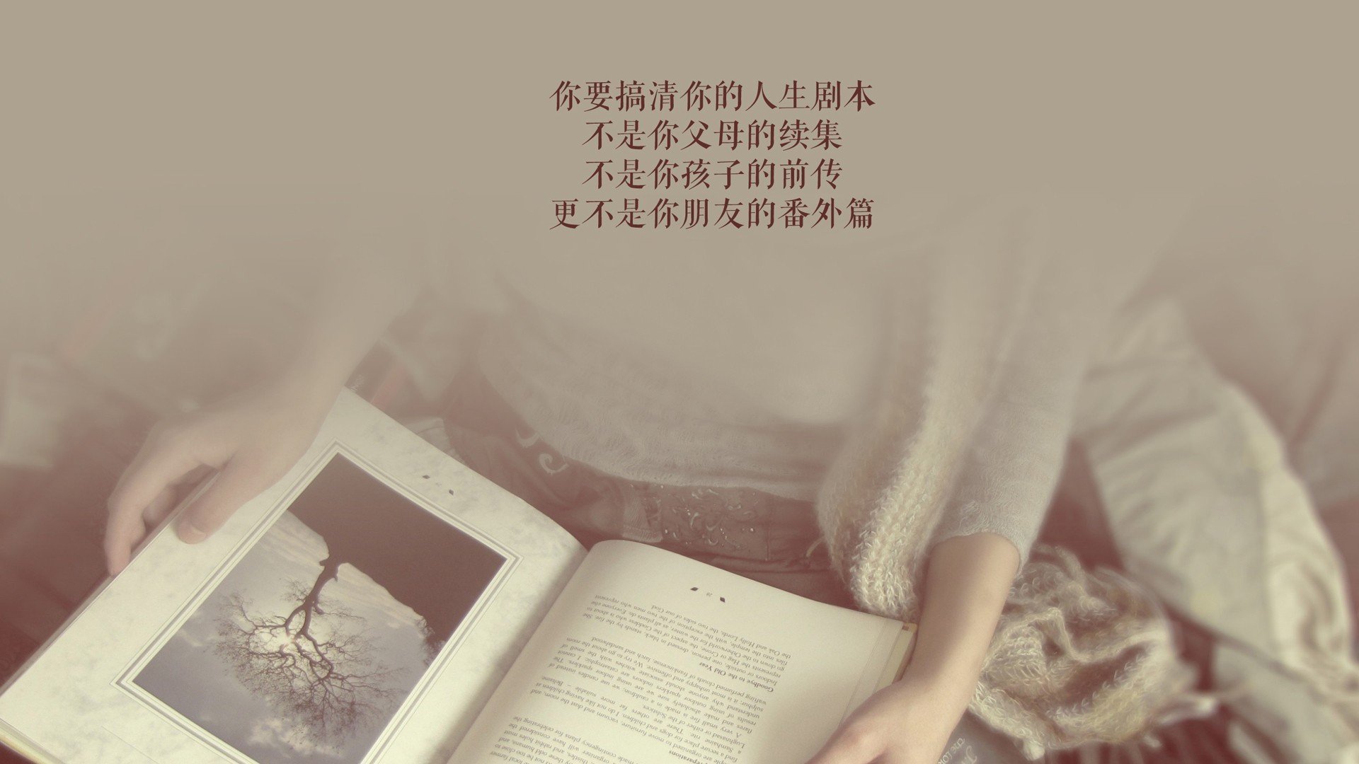赤道线上的命运博弈—2026世界杯B组生死战,厄瓜多尔vs喀麦隆,卢卡库的孤星时刻