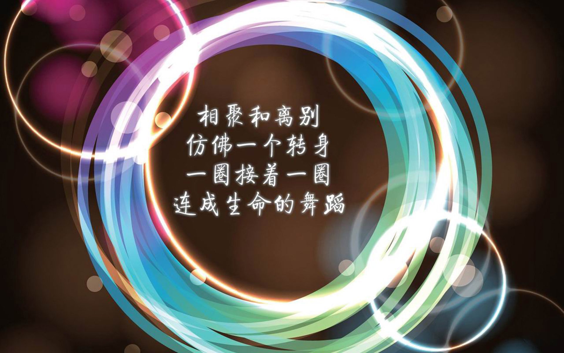赤道线上的命运博弈—2026世界杯B组生死战,厄瓜多尔vs喀麦隆,卢卡库的孤星时刻